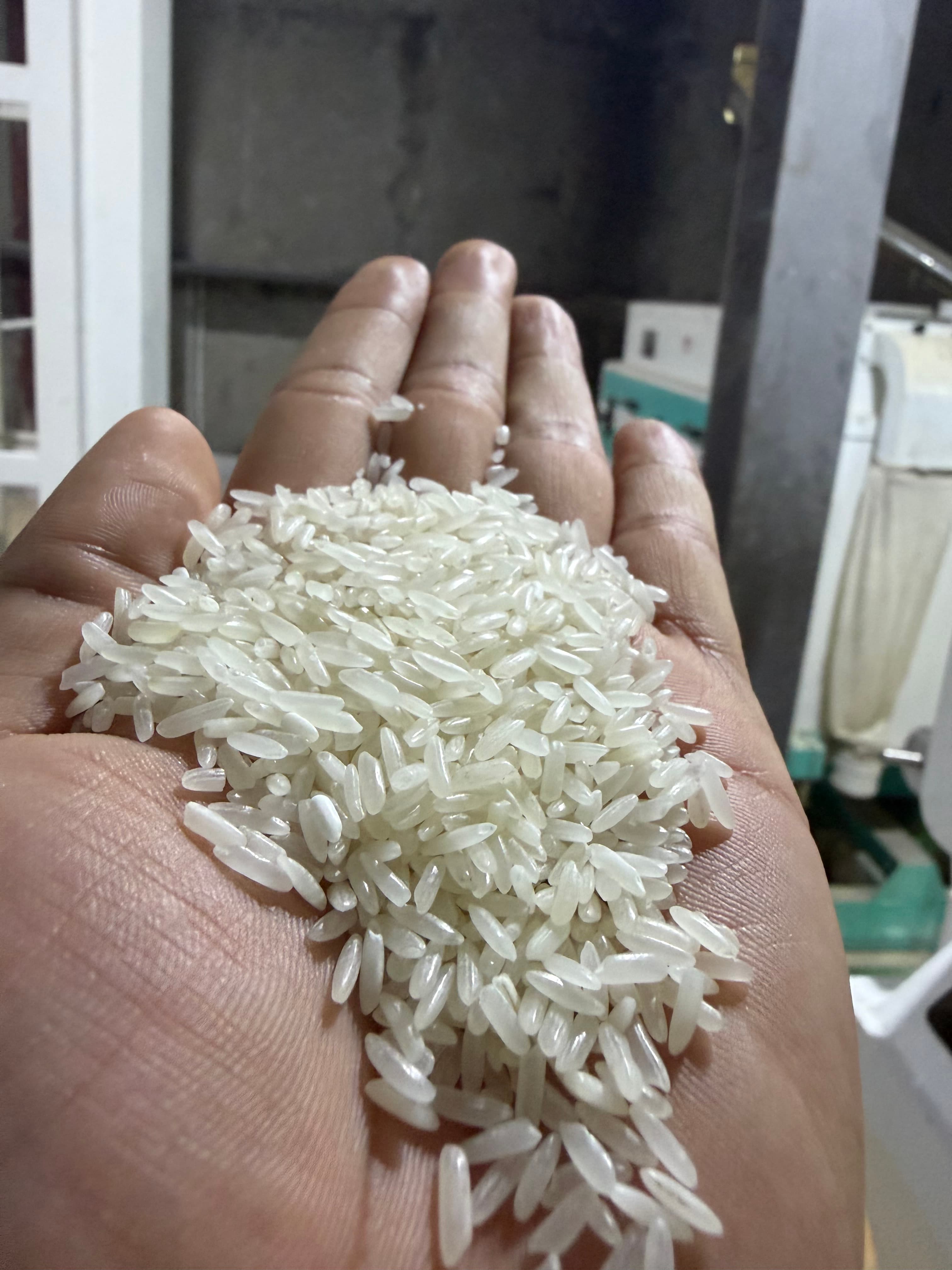 A cupped hand holding a large pile of polished, long-grain white rice grains.