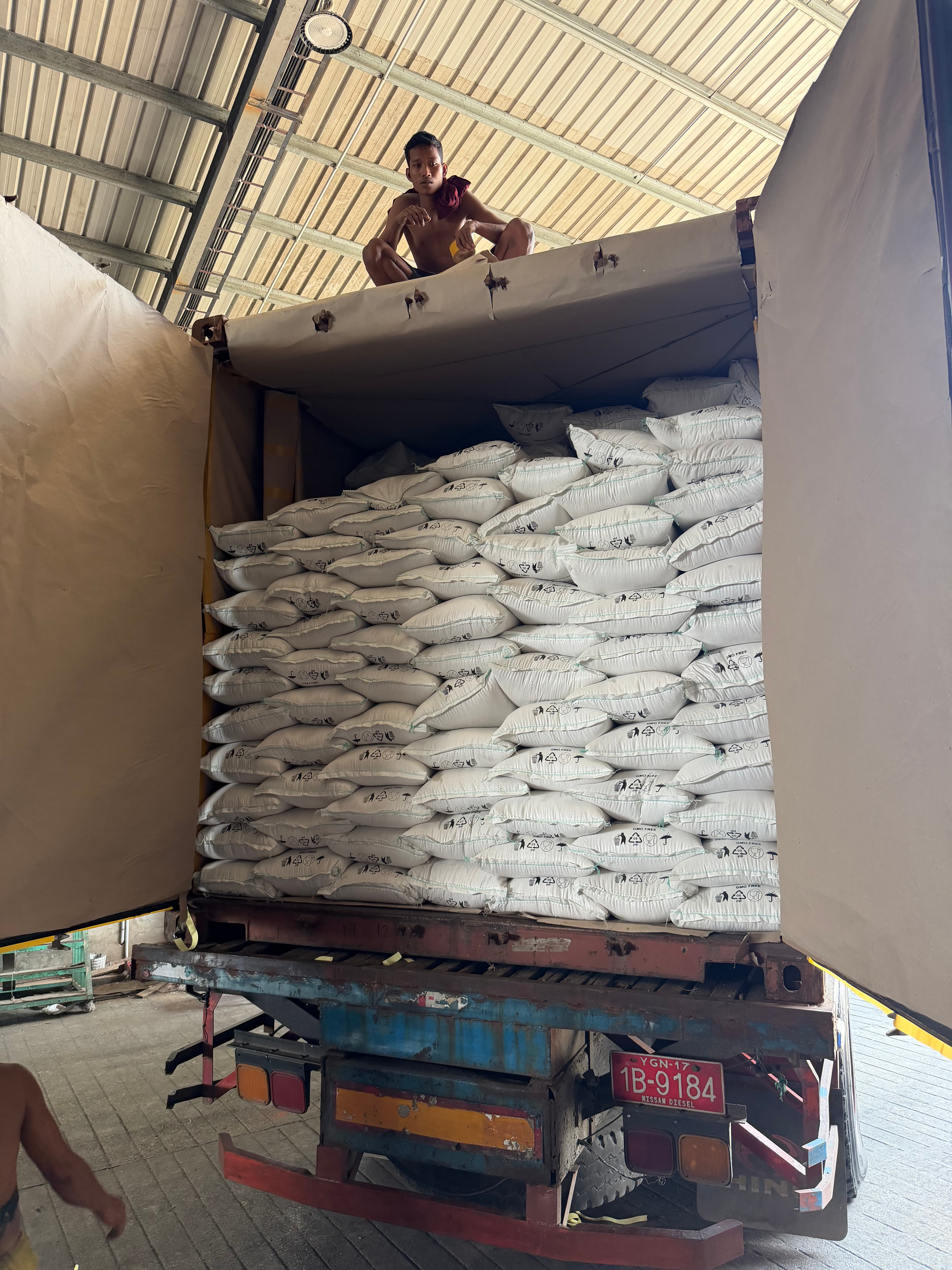 Rows of white sacks stacked inside a truck bed with a man on the left.